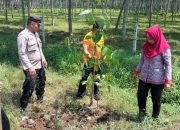 Polsek Dolok Batu Nanggar Bersama Camat dan Warga Tanam 100 Pohon di Serbelawan