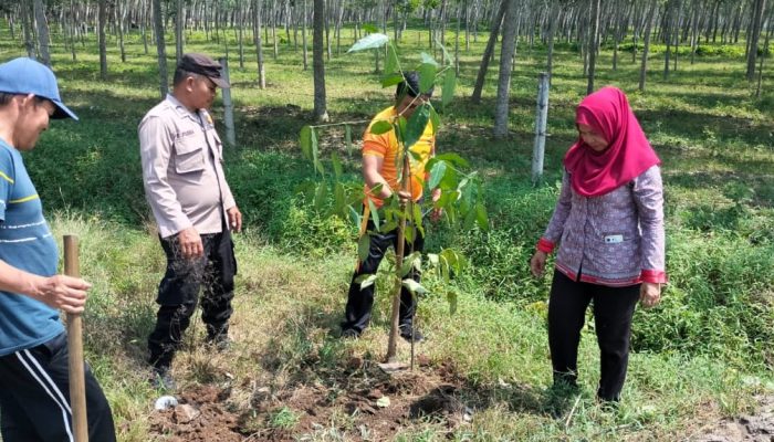Polsek Dolok Batu Nanggar Bersama Camat dan Warga Tanam 100 Pohon di Serbelawan