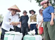 Bupati Vandiko Panen Padi Bersama Petani dengan Taksi Alsintan