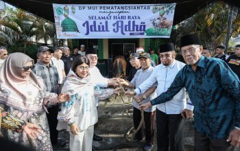 Wesly Silalahi dan Ketua TP PKK Serahkan Sapi Kurban ke MUI Pematangsiantar