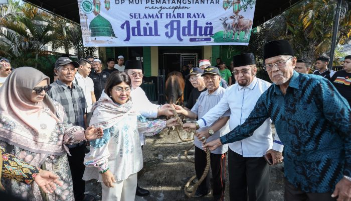 Wesly Silalahi dan Ketua TP PKK Serahkan Sapi Kurban ke MUI Pematangsiantar