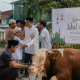 Makna Hari Raya Haji dan Idul Adha