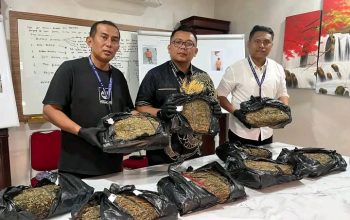 Satresnarkoba Polrestabes Medan Sita 9,4 Kg Ganja, Dua Pelaku Diburu
