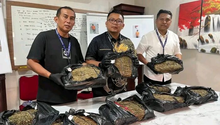 Satresnarkoba Polrestabes Medan Sita 9,4 Kg Ganja, Dua Pelaku Diburu