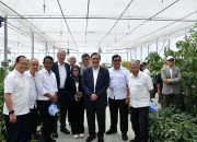 Wabup Samosir Dukung Investasi Internasional untuk Percepat Pengembangan TSTH2