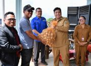 Bupati Samosir Salurkan 5 Ton Bibit Kentang, Ajak Petani Sukseskan Program Kolaborasi Sumut Berkah