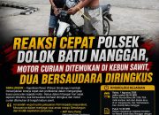 Polsek Dolok Batu Nanggar Ungkap Curanmor, Dua Bersaudara Ditangkap
