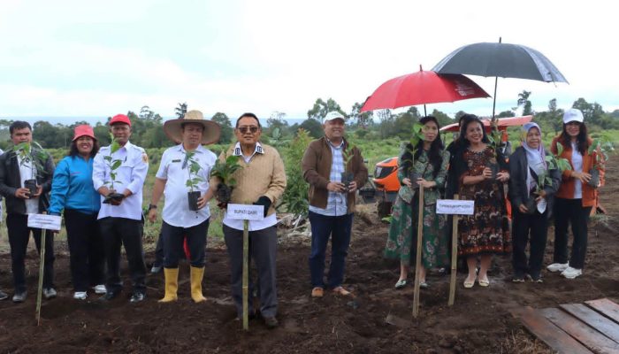 Investasi NT Corp Buka Babak Baru Kopi Dairi Menuju Pasar Dunia