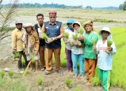 Dua Bendung Rusak Diterjang Banjir, BPBD Simalungun Turun Tinjau