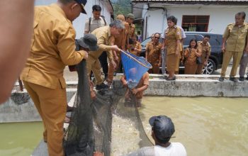 Tinjau BBI Purbatua, Pemkab Taput Dorong Budidaya Ikan