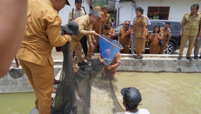 Tinjau BBI Purbatua, Pemkab Taput Dorong Budidaya Ikan