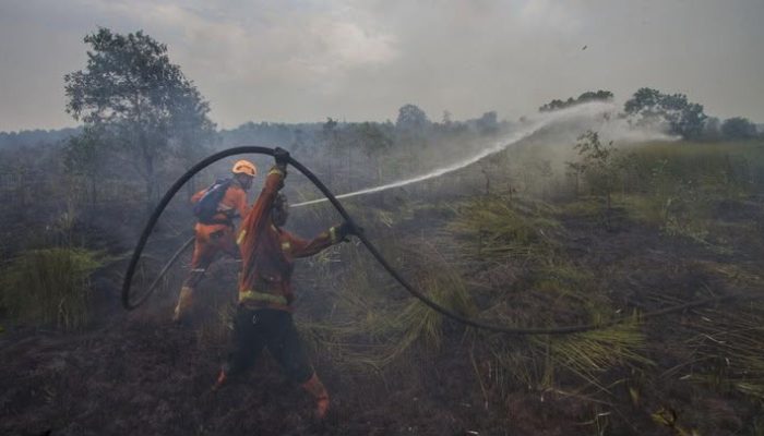 Cegah Karhutla, PTPN IV PalmCo Perkuat Deteksi Dini dan Patroli