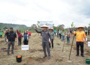 Pemkab Taput Gerakkan Penanaman 2,2 Juta Batang Kopi