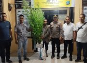 12 Batang Ganja Diamankan dari Ladang Warga di Simpang Raya Dasma